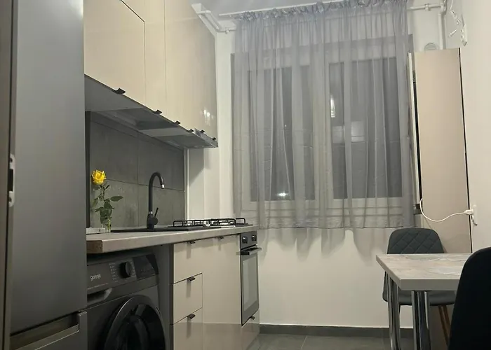 アパート Adela Luxury House Near Christmas Market クラヨーヴァ