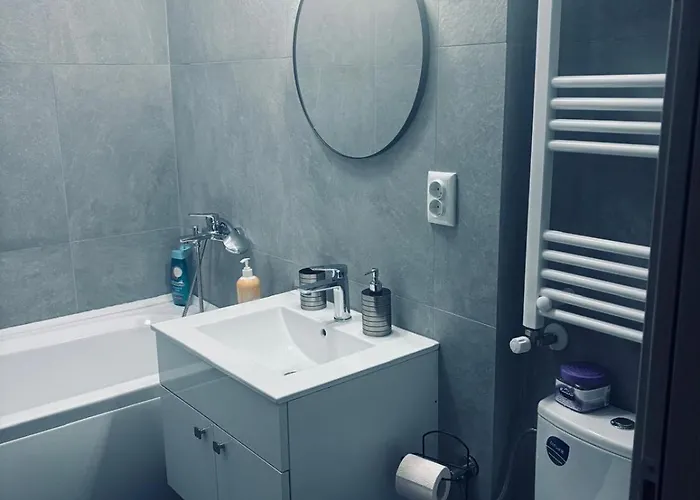 Adela Luxury House Near Christmas Market アパート クラヨーヴァ